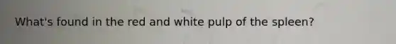 What's found in the red and white pulp of the spleen?