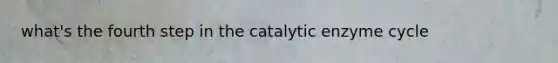 what's the fourth step in the catalytic enzyme cycle