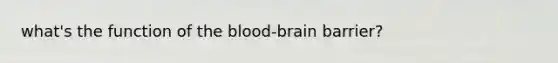 what's the function of the blood-brain barrier?