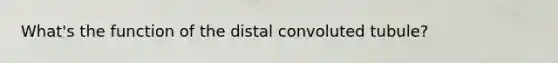 What's the function of the distal convoluted tubule?