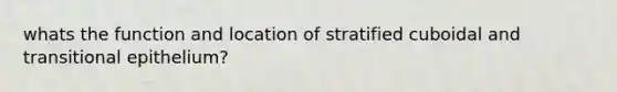 whats the function and location of stratified cuboidal and transitional epithelium?