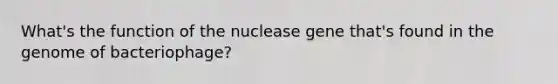 What's the function of the nuclease gene that's found in the genome of bacteriophage?