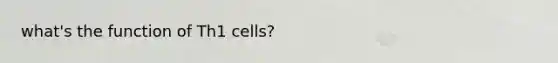 what's the function of Th1 cells?