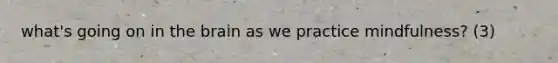 what's going on in the brain as we practice mindfulness? (3)