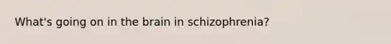 What's going on in the brain in schizophrenia?
