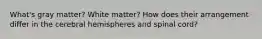 What's gray matter? White matter? How does their arrangement differ in the cerebral hemispheres and spinal cord?