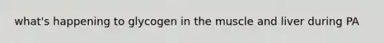 what's happening to glycogen in the muscle and liver during PA