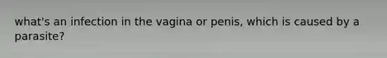 what's an infection in the vagina or penis, which is caused by a parasite?