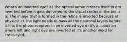 What's an inverted eye? a) The optical nerve crosses itself to get inverted before it gets delivered to the visual cortex in the brain b) The image that is formed in the retina is inverted because of physics! c) The light needs to pass all the neuronal layers before it hits the photoreceptors in an inverted eye d) It's a condition where left and right eye are inverted e) It's another word for cross-eyed.