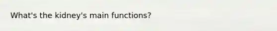 What's the kidney's main functions?