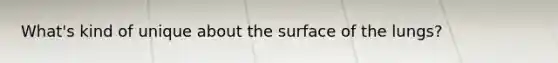What's kind of unique about the surface of the lungs?
