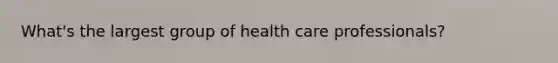 What's the largest group of health care professionals?