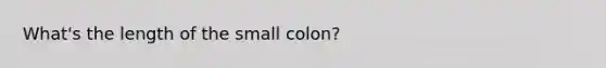 What's the length of the small colon?