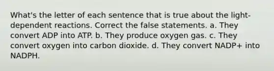 What's the letter of each sentence that is true about the light-dependent reactions. Correct the false statements. a. They convert ADP into ATP. b. They produce oxygen gas. c. They convert oxygen into carbon dioxide. d. They convert NADP+ into NADPH.