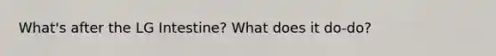 What's after the LG Intestine? What does it do-do?