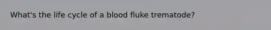 What's the life cycle of a blood fluke trematode?