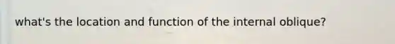 what's the location and function of the internal oblique?