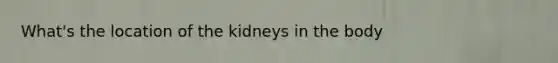 What's the location of the kidneys in the body