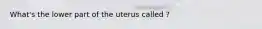 What's the lower part of the uterus called ?