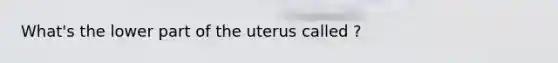 What's the lower part of the uterus called ?