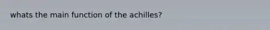 whats the main function of the achilles?