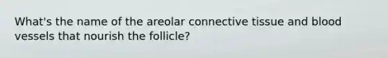 What's the name of the areolar connective tissue and blood vessels that nourish the follicle?