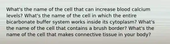 What's the name of the cell that can increase blood calcium levels? What's the name of the cell in which the entire bicarbonate buffer system works inside its cytoplasm? What's the name of the cell that contains a brush border? What's the name of the cell that makes connective tissue in your body?