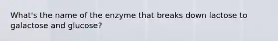 What's the name of the enzyme that breaks down lactose to galactose and glucose?