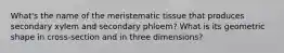 What's the name of the meristematic tissue that produces secondary xylem and secondary phloem? What is its geometric shape in cross-section and in three dimensions?