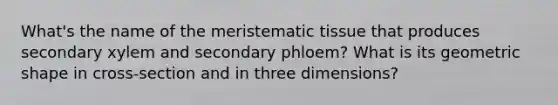 What's the name of the <a href='https://www.questionai.com/knowledge/kh2R1rHa5M-meristematic-tissue' class='anchor-knowledge'>meristematic tissue</a> that produces secondary xylem and secondary phloem? What is its geometric shape in cross-section and in three dimensions?