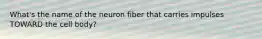 What's the name of the neuron fiber that carries impulses TOWARD the cell body?