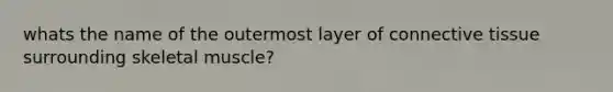 whats the name of the outermost layer of <a href='https://www.questionai.com/knowledge/kYDr0DHyc8-connective-tissue' class='anchor-knowledge'>connective tissue</a> surrounding skeletal muscle?