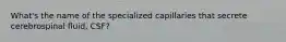 What's the name of the specialized capillaries that secrete cerebrospinal fluid, CSF?