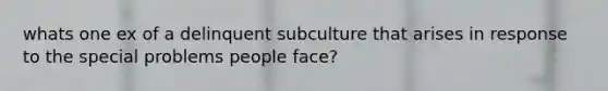 whats one ex of a delinquent subculture that arises in response to the special problems people face?