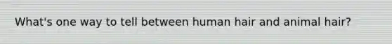 What's one way to tell between human hair and animal hair?