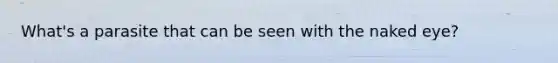 What's a parasite that can be seen with the naked eye?