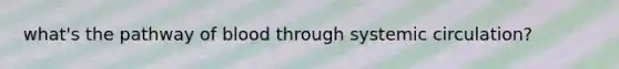 what's the pathway of blood through systemic circulation?