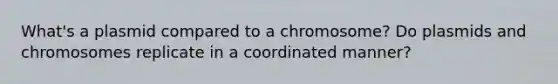 What's a plasmid compared to a chromosome? Do plasmids and chromosomes replicate in a coordinated manner?