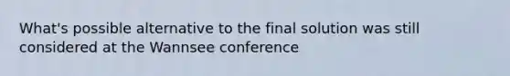 What's possible alternative to the final solution was still considered at the Wannsee conference