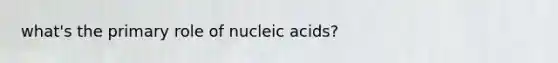 what's the primary role of nucleic acids?