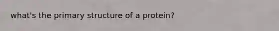 what's the primary structure of a protein?