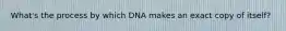 What's the process by which DNA makes an exact copy of itself?