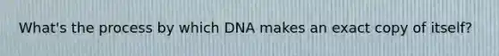 What's the process by which DNA makes an exact copy of itself?