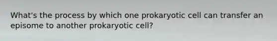 What's the process by which one prokaryotic cell can transfer an episome to another prokaryotic cell?