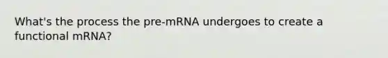 What's the process the pre-mRNA undergoes to create a functional mRNA?