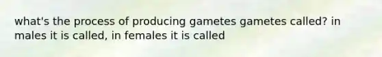 what's the process of producing gametes gametes called? in males it is called, in females it is called