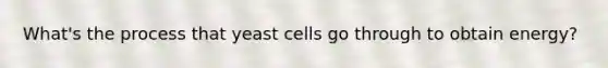 What's the process that yeast cells go through to obtain energy?