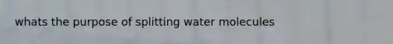 whats the purpose of splitting water molecules