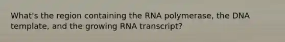 What's the region containing the RNA polymerase, the DNA template, and the growing RNA transcript?