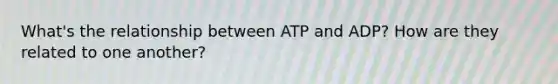 What's the relationship between ATP and ADP? How are they related to one another?